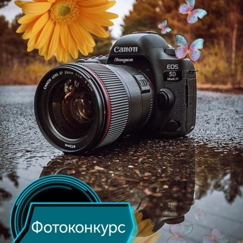 Фотоконкурс "Краса-длинная коса"