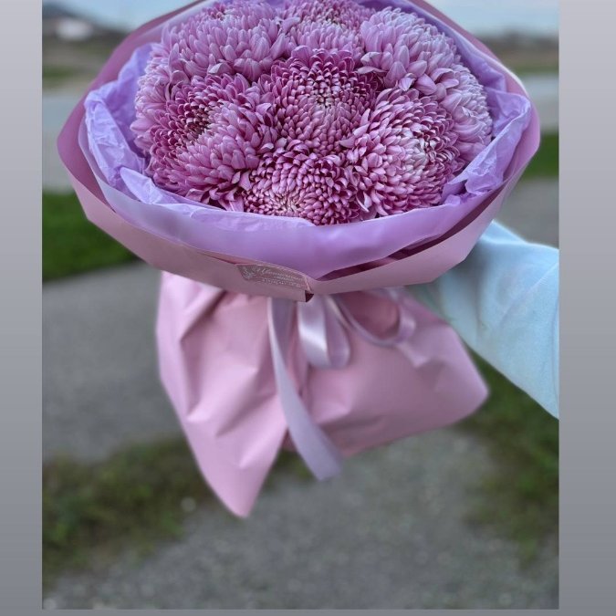 Королева осени - хризантема!