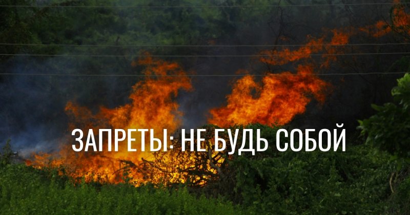 Психологическая консультация: почему директива «не будь собой» мешает личному росту