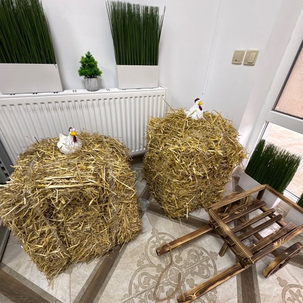 Фермерская лавка Яйцо