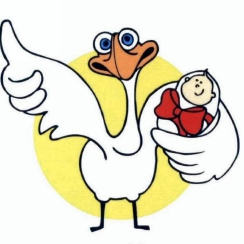 Весёлый аист