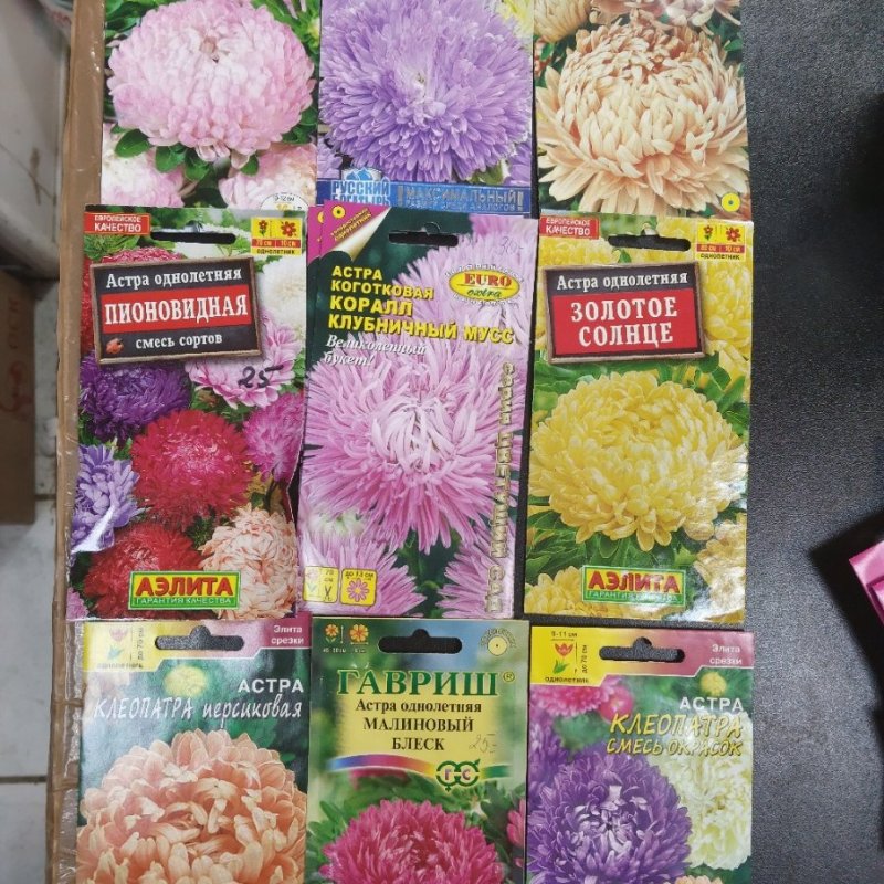 Большой выбор семян астр и не только