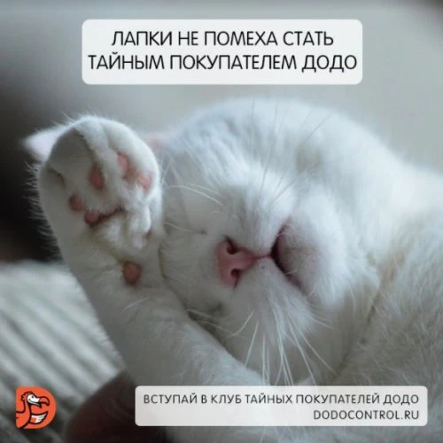 Тайный покупатель Додо
