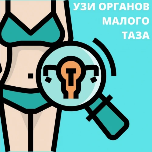 Узи органов малого таза!
