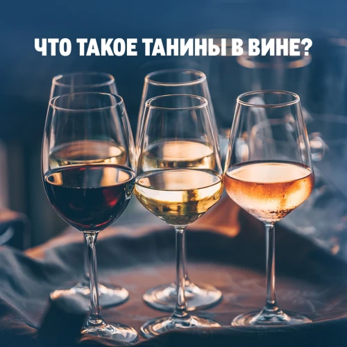 Танины в вине!