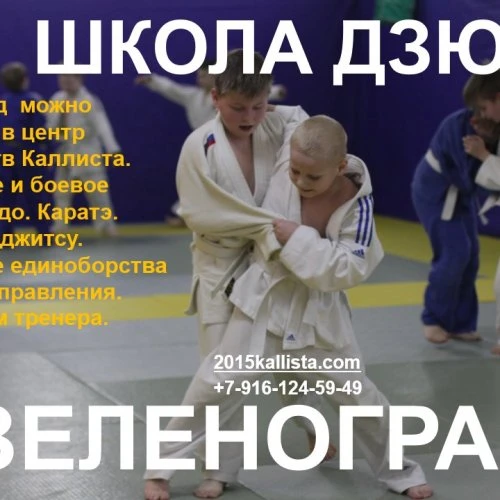 Зеленоград спортивный.  Единоборства для детей и родителей.