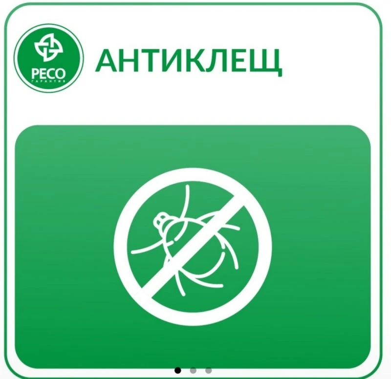 Страхование