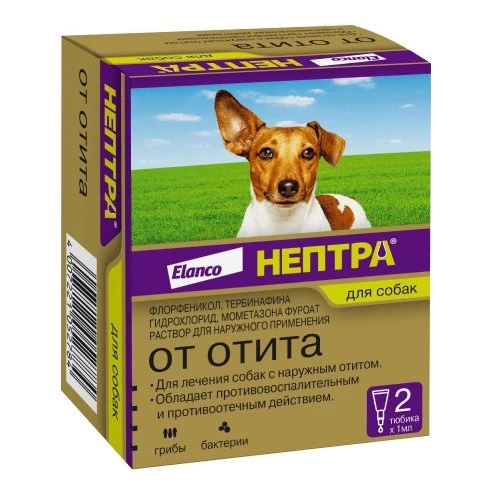 🔥Нептра