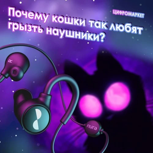 Любая кошка обожает играть