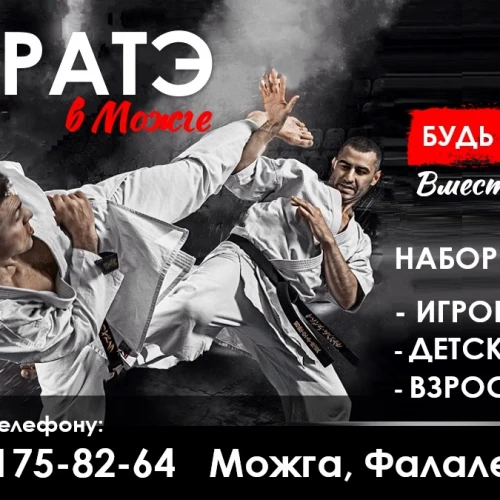 Каратэ Шотокан в Можге