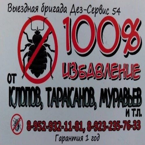100 % избавление от клопов, тараканов, муравьев