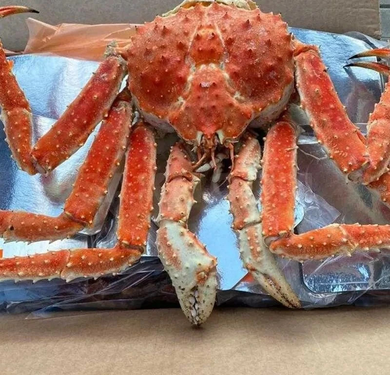 СНОВА В НАЛИЧИИ! 😍 Краб Дальневосточный
