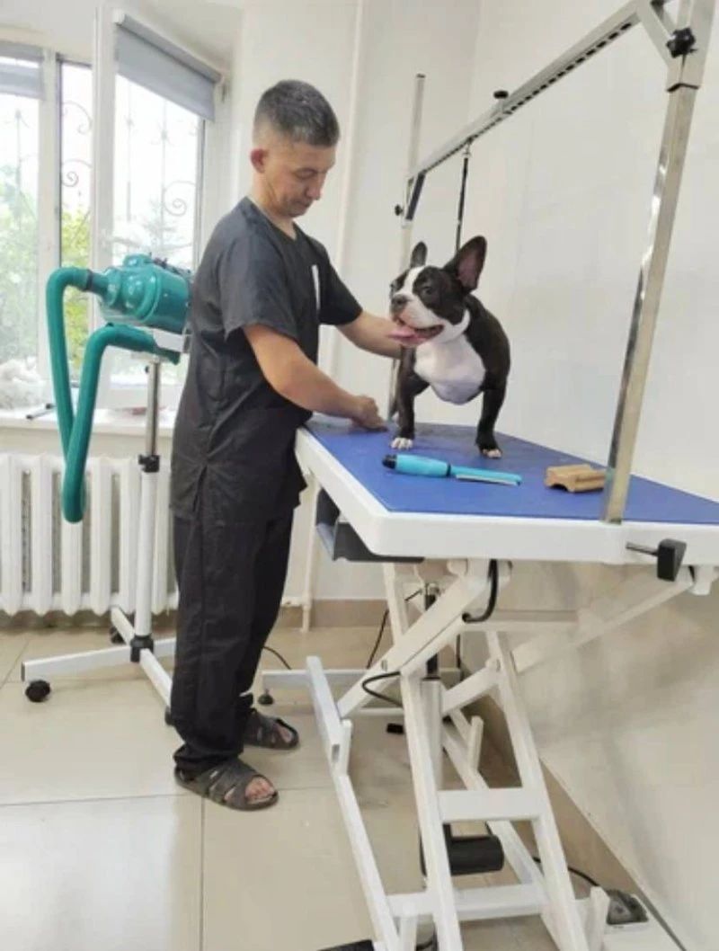 Richi grooming