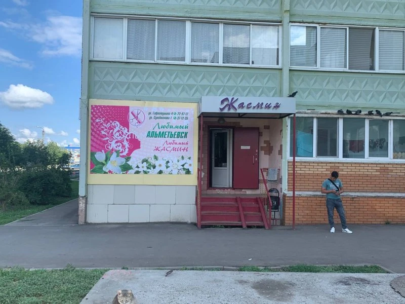 Жасмин