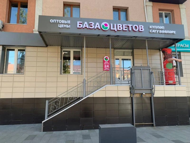 База цветов