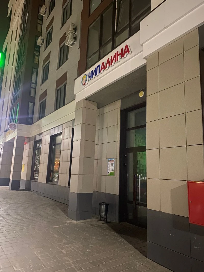 ЧипАлина