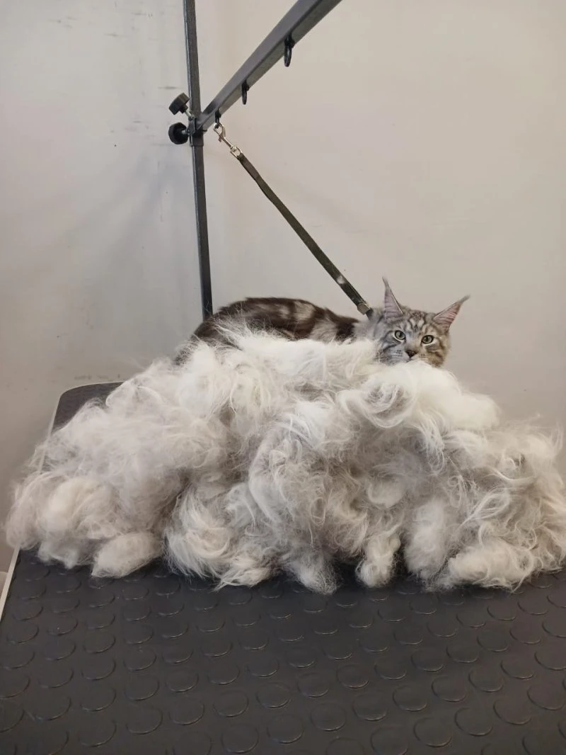 Фото 4