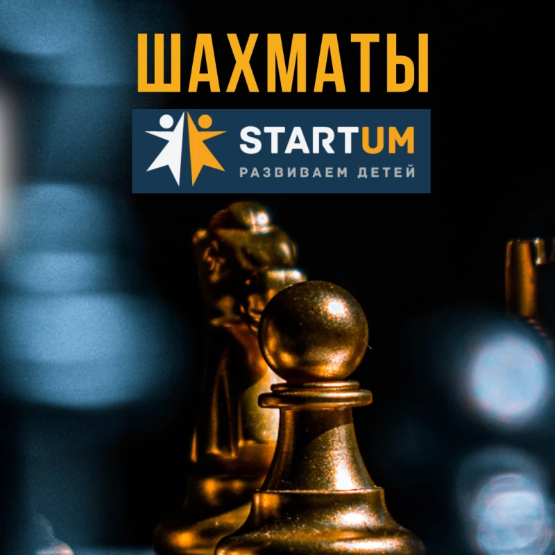 Шахматы для детей и взролсых