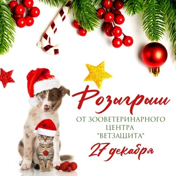 Розыгрыш от ВЕТЗАЩИТЫ