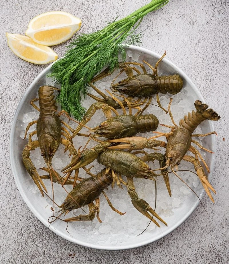 РАКИ