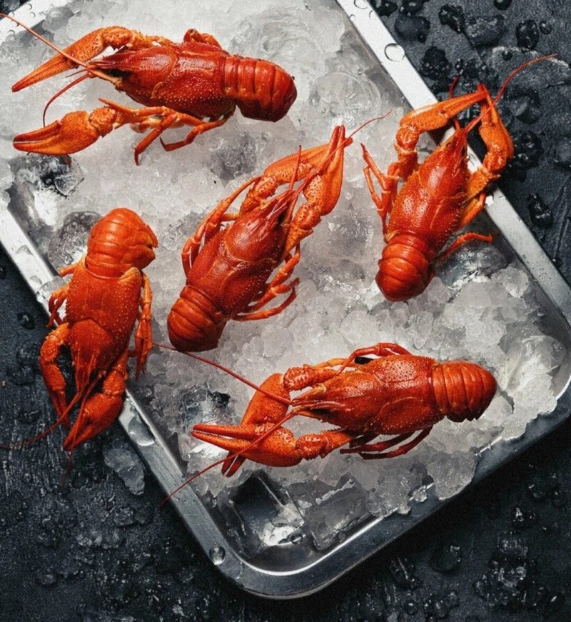 РАКИ