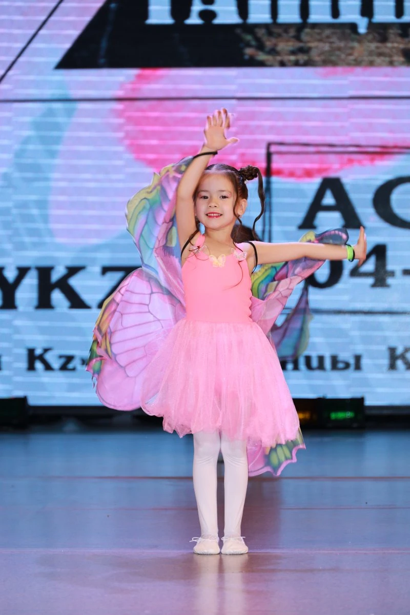 SV Dance Studio