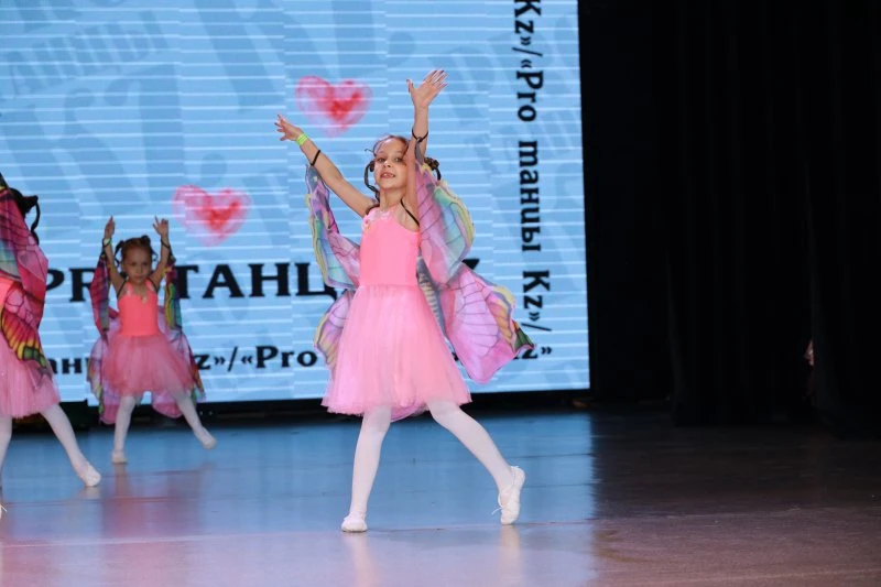SV Dance Studio
