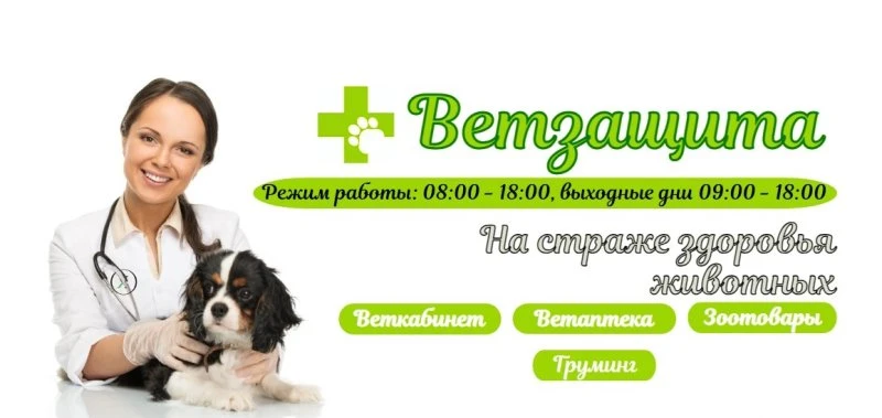 Вакансия( ветеринарный врач)