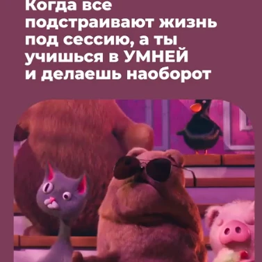 Тоже хотите меньше нервничать из-за сессий? Выбирайте программу обучения на платформе УМНЕЙ!