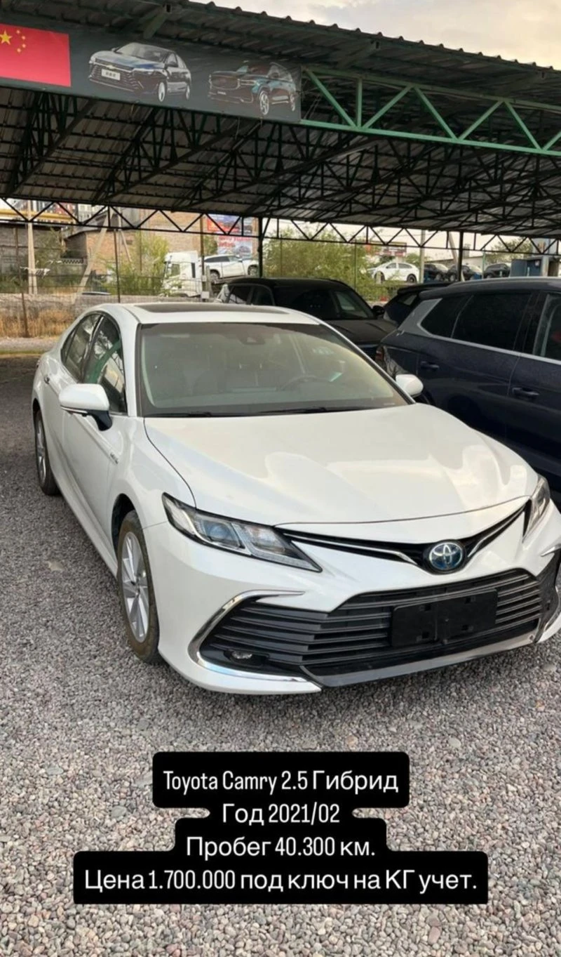 Musa Motors