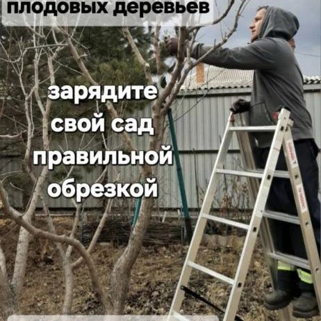Сад в Хакасии. Осенняя обрезка плодового сада