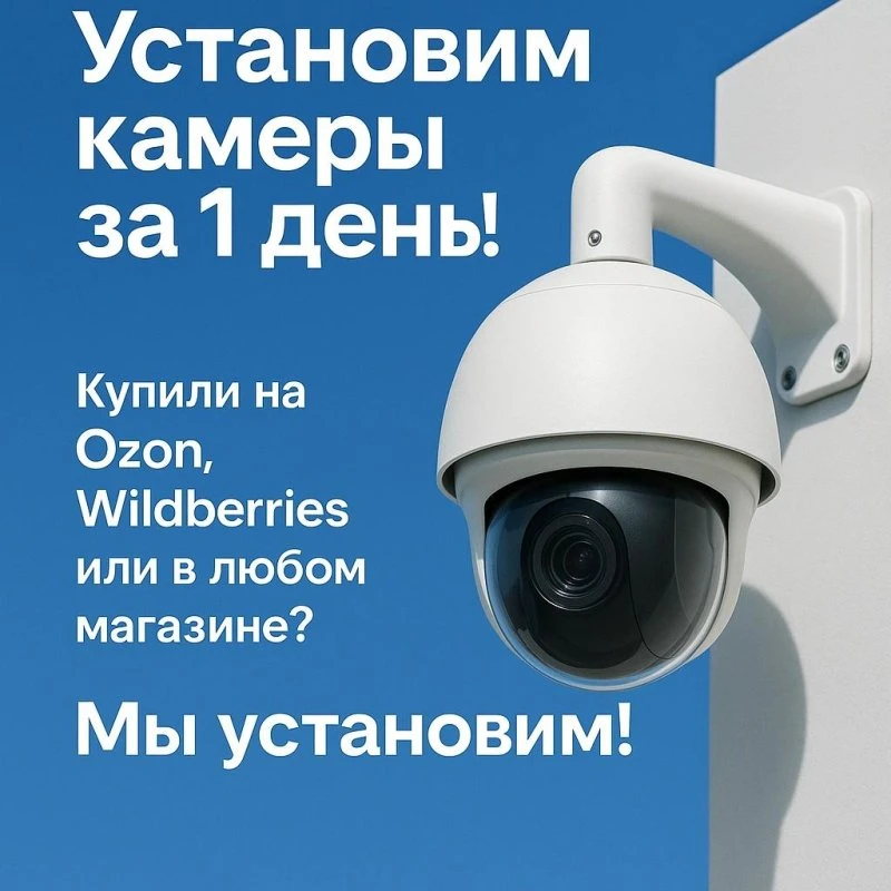 Вектор