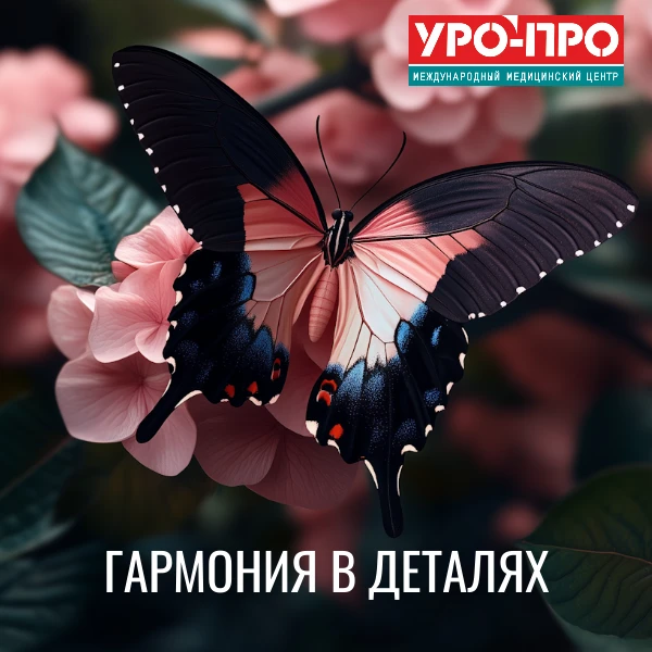 ✨ Малоинвазивная эстетическая гинекология: что это и кому она нужна? ✨