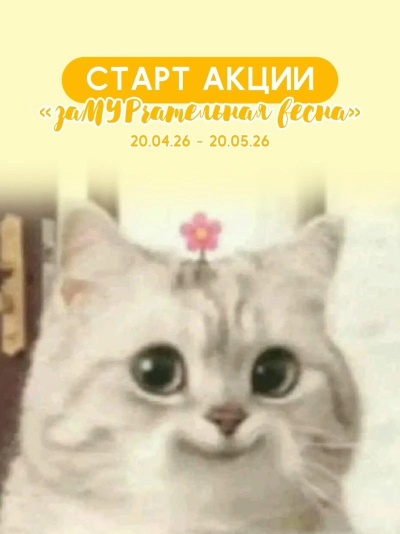 ЗВЕРАША ОБЪЯВЛЯЕТ СТАРТ АКЦИИ «заМУРчательная весна»🌸