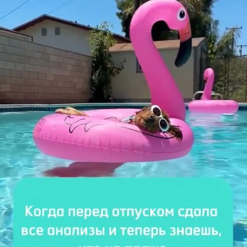 Собираетесь в отпуск? 🛫   ⛱