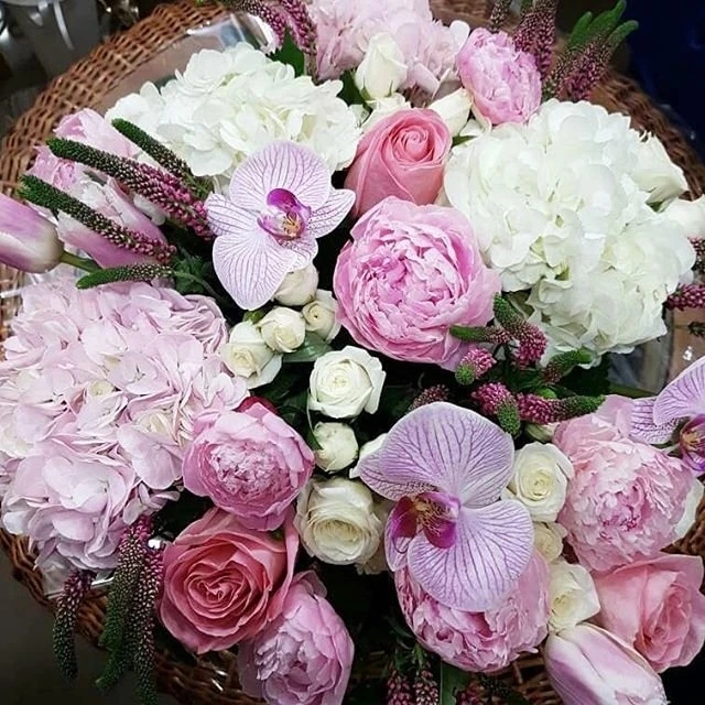 Florissimo