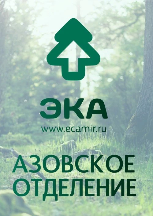 ЭКА