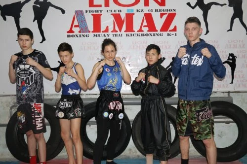 Lion 