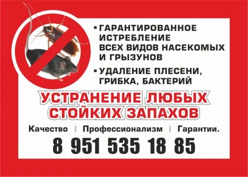 Дезинфекция, Дезинсекция, Дератизация