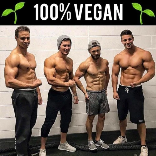 Vegan Azov