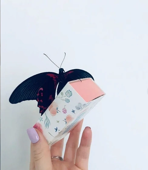 Beauty lash, салон красоты