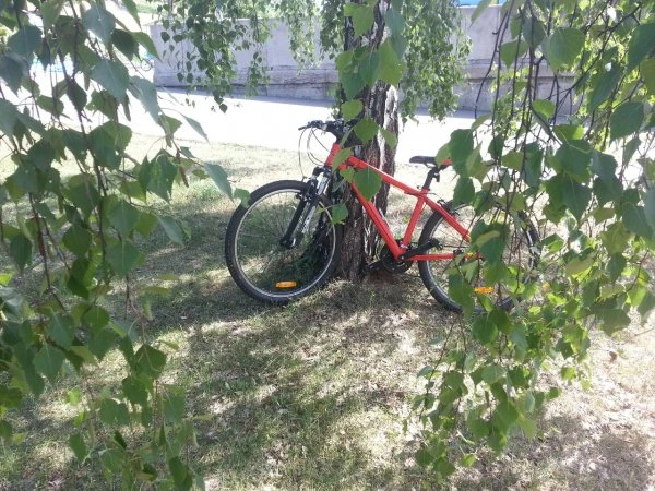 ВЕЛОПАРК