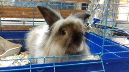 Живой музей Экодом в Красноярске