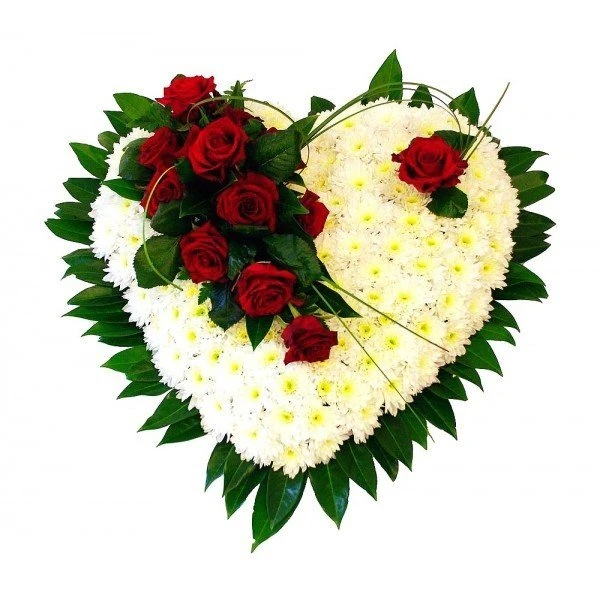 Blume