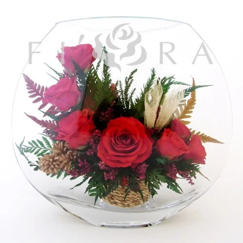 Fiora24