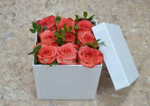 FLOyou