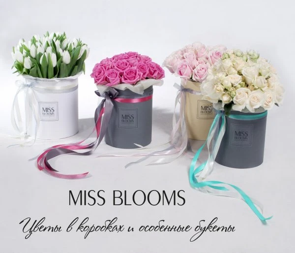Miss Blooms