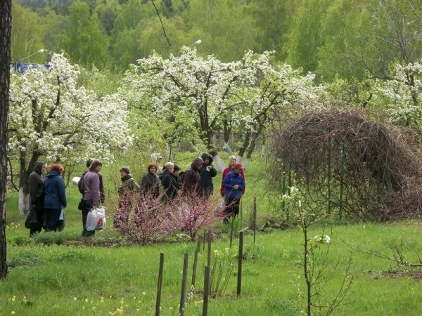 Ботанический сад имени В. М. Крутовского