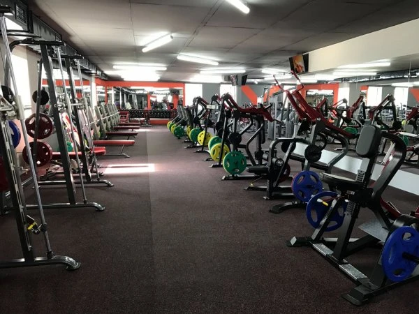 Xperience Fitness