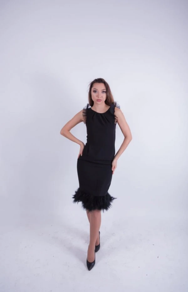 Ailin collection 